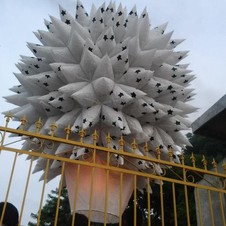 Globos de cantoya